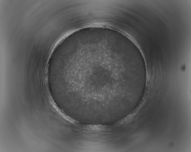 X0000115531045200911271342