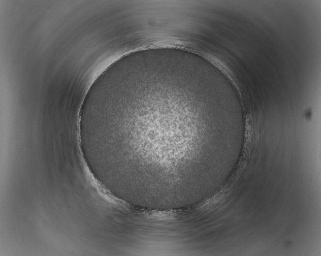 X0000115531047200911271342