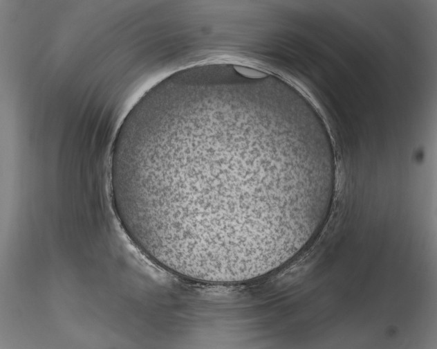 X0000115531048200911271342