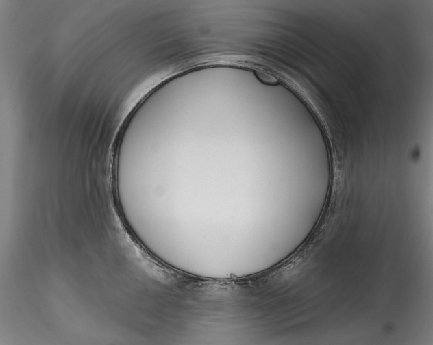 X0000115531050200911271342