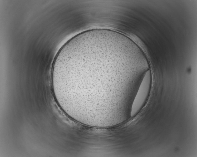 X0000115531052200911271342