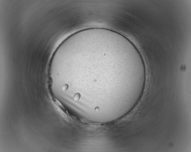 X0000115531056200911271342