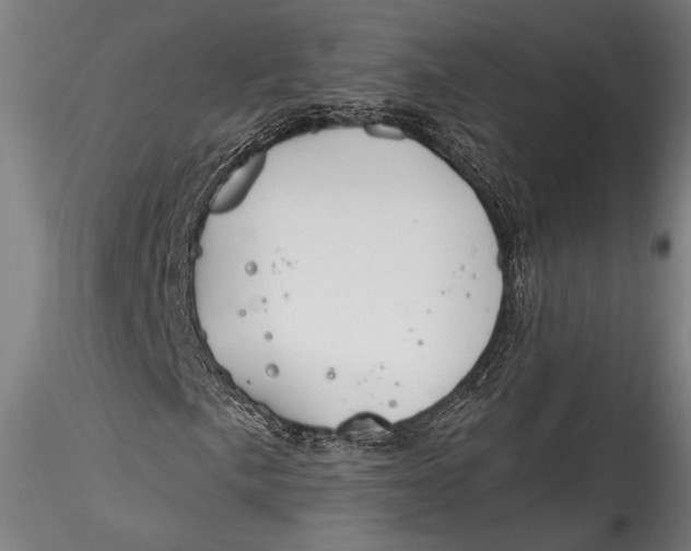 X0000115531057200911271341