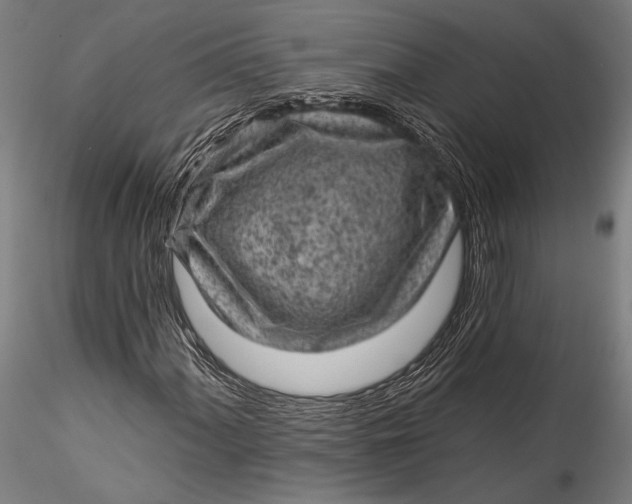 X0000115531060200911271341