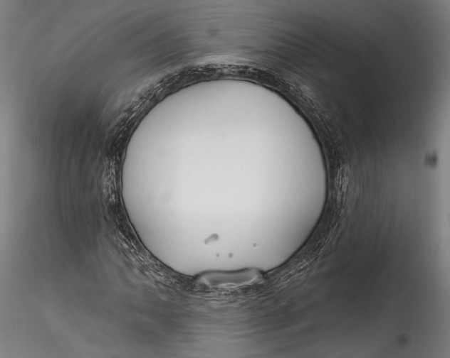 X0000115531062200911271341