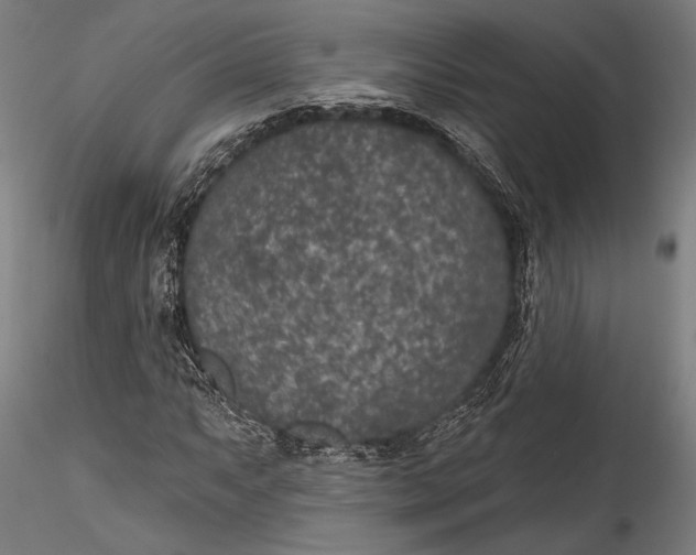 X0000115531063200911271341