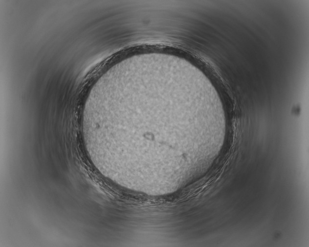 X0000115531064200911271341