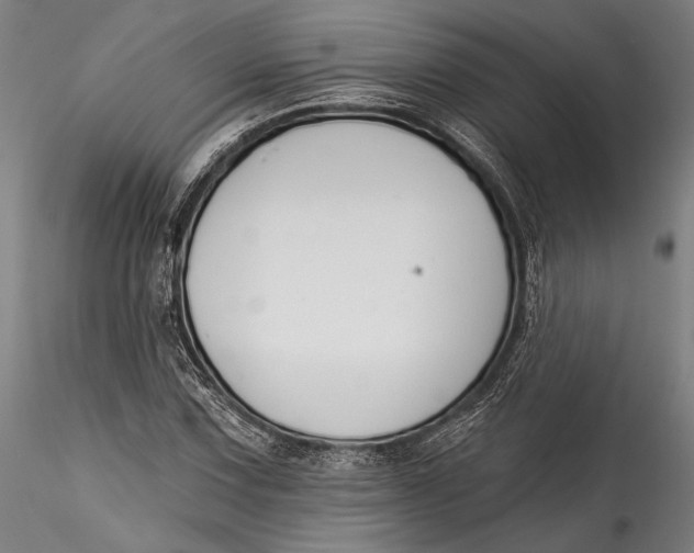 X0000115531067200911271341