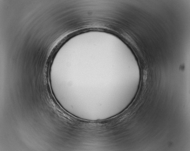 X0000115531068200911271341