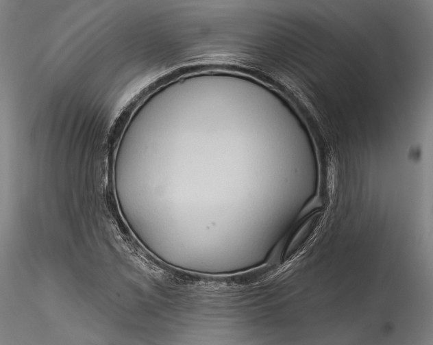 X0000115531069200911271341