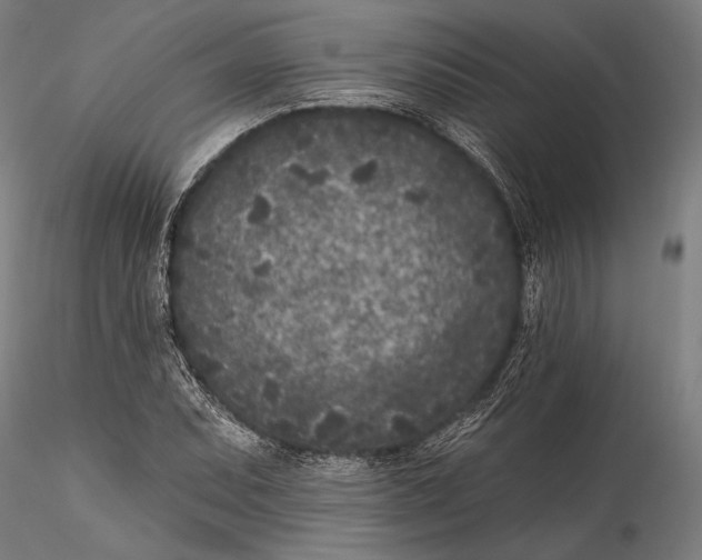 X0000115531071200911271341