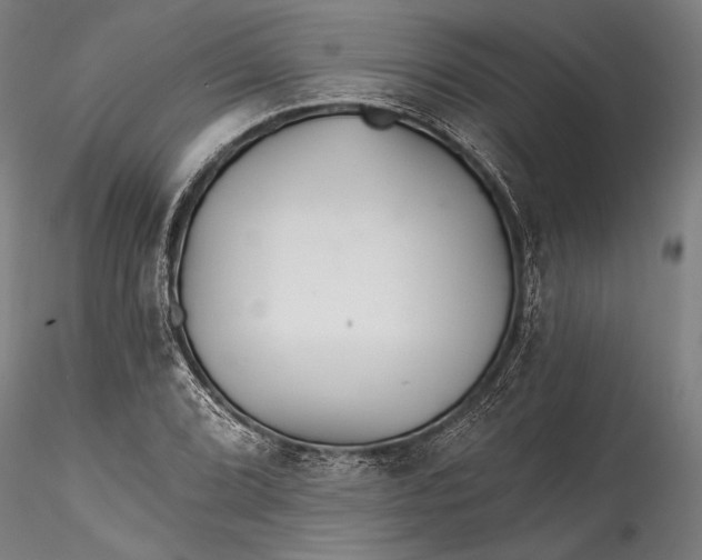 X0000115531072200911271341