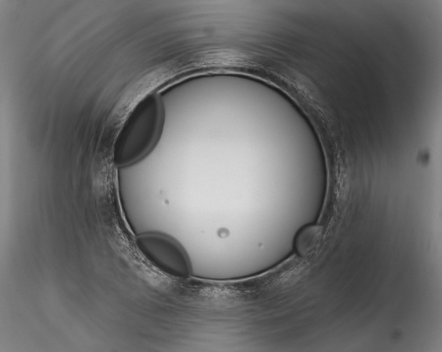 X0000115531073200911271341