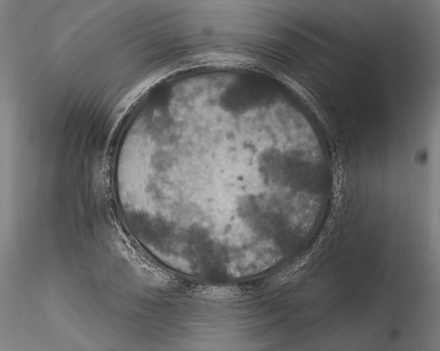 X0000115531074200911271341