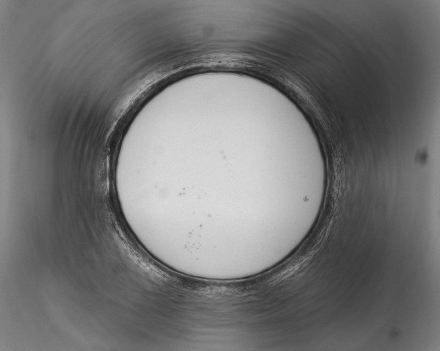 X0000115531075200911271341