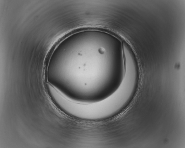 X0000115531077200911271341