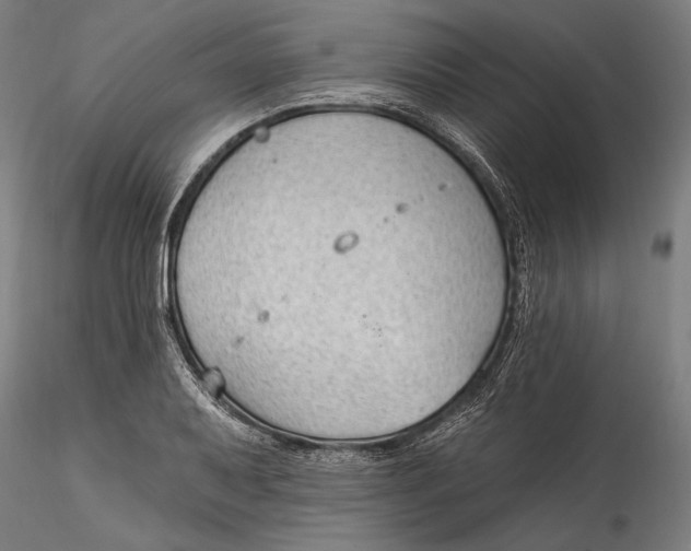 X0000115531079200911271341