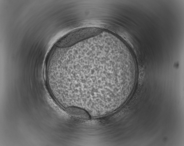 X0000115531080200911271341