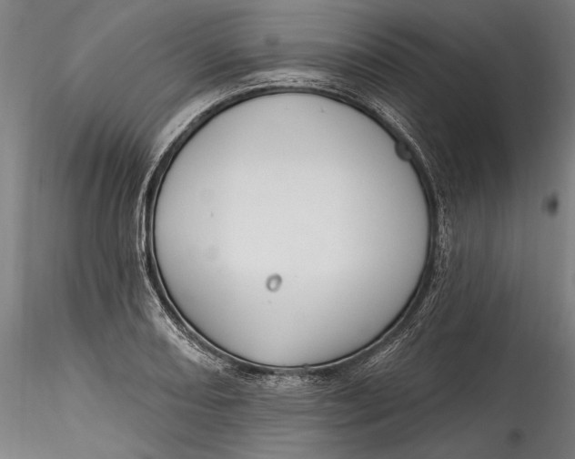 X0000115531082200911271340