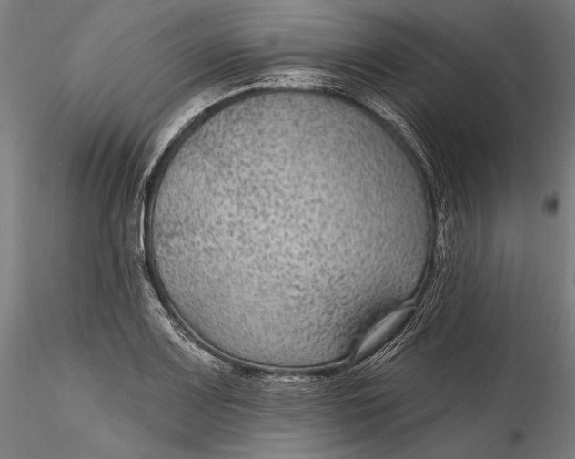 X0000115531083200911271340