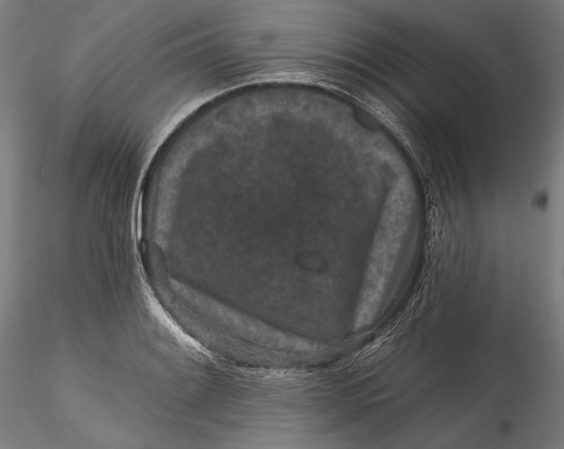 X0000115531084200911271340