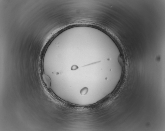 X0000115531085200911271340