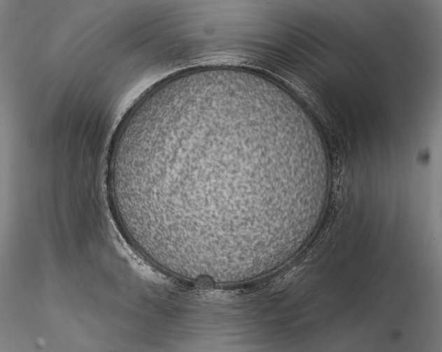 X0000115531086200911271340