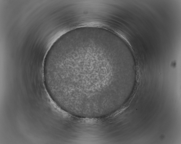 X0000115531087200911271340