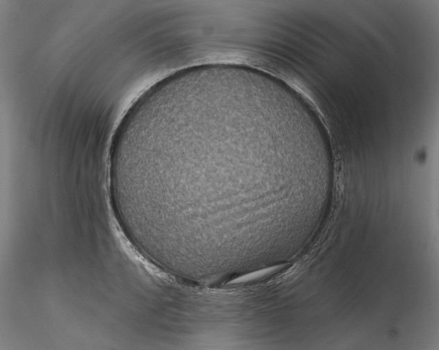 X0000115531088200911271340