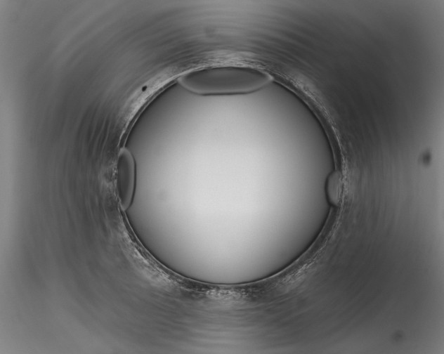 X0000115531089200911271340