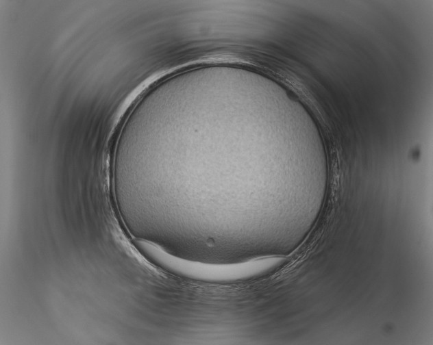 X0000115531092200911271340