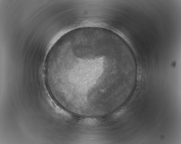 X0000115531094200911271340