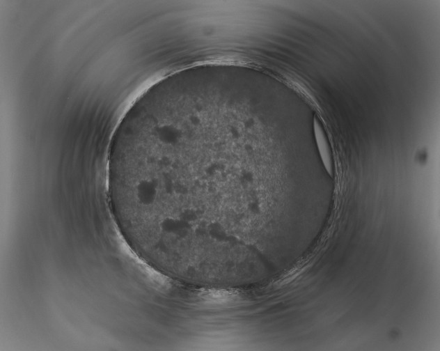 X0000115531095200911271340