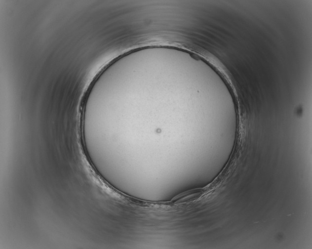 X0000115531096200911271340