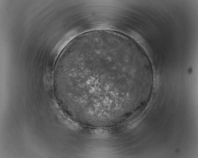 X0000115531097200911271340