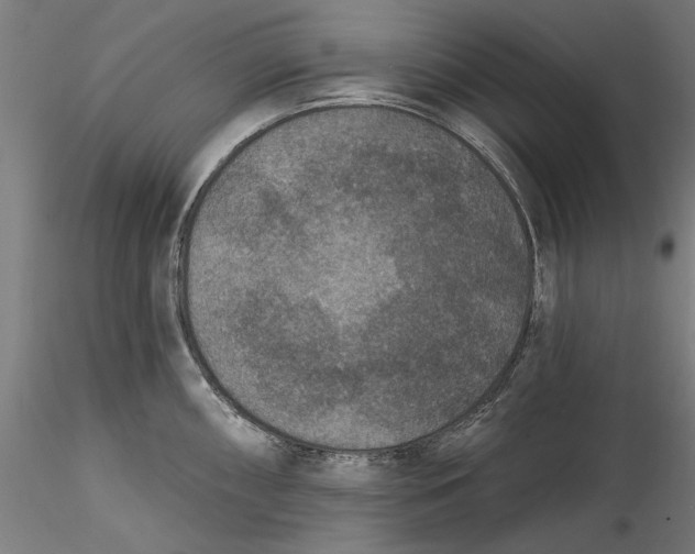 X0000115531098200911271340