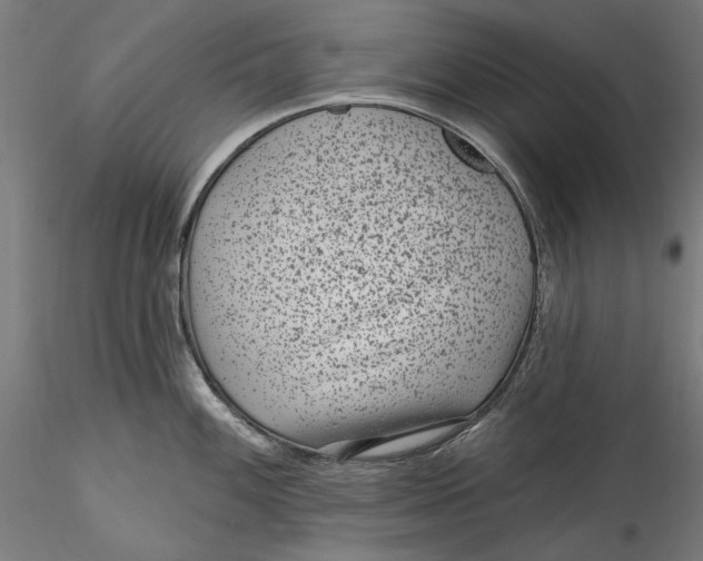 X0000115531100200911271340