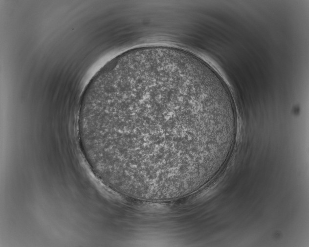 X0000115531101200911271340