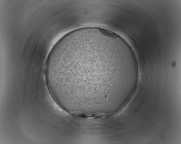 X0000115531102200911271340