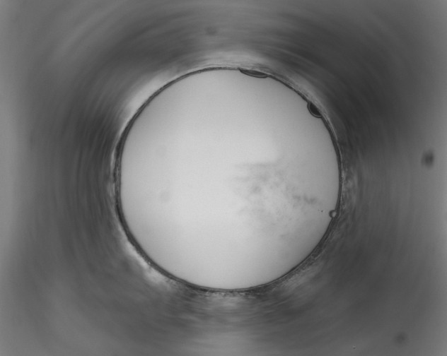 X0000115531103200911271340