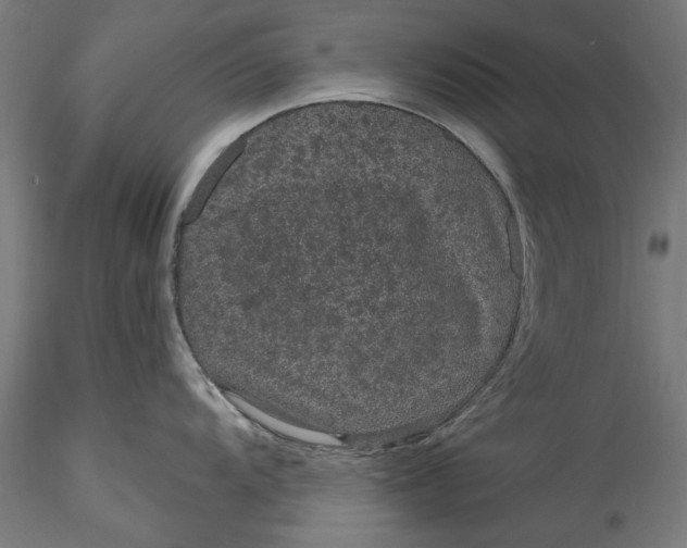 X0000115531104200911271340