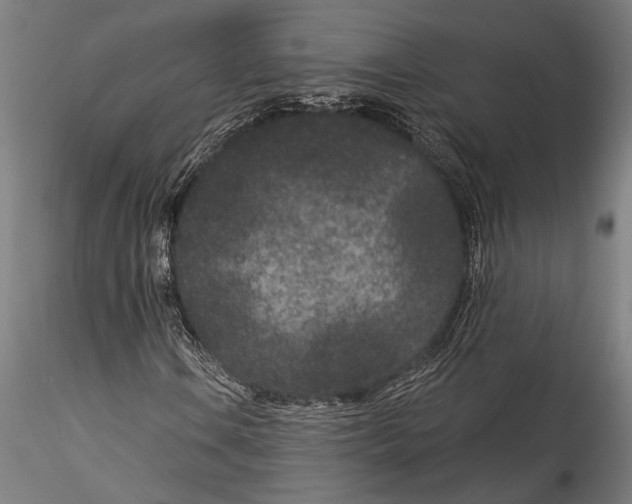 X0000115531106200911271340