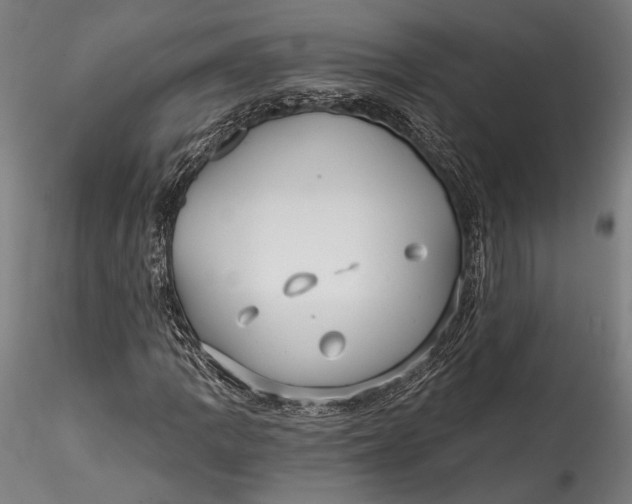 X0000115531109200911271340