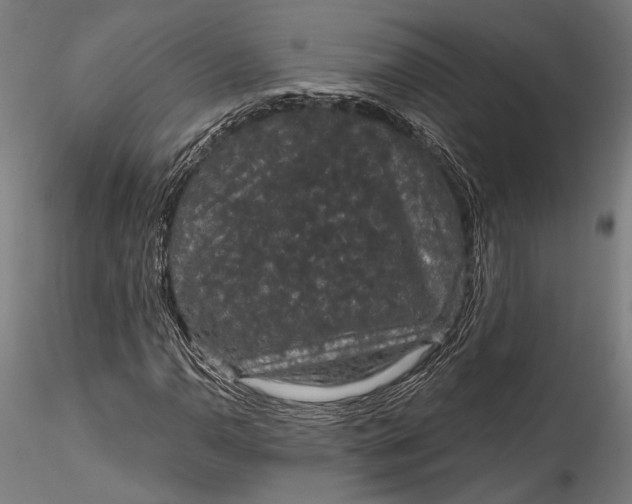 X0000115531110200911271340