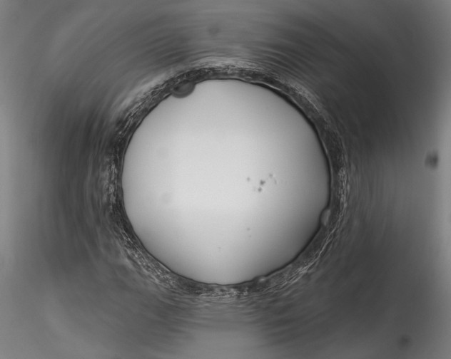 X0000115531111200911271340