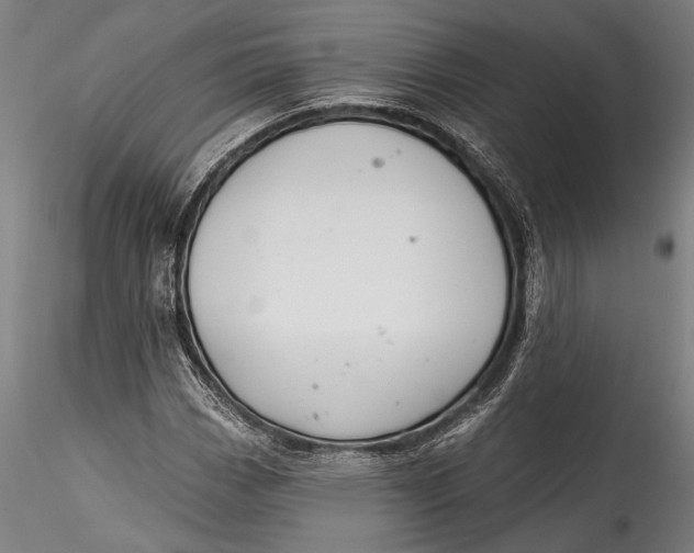 X0000115531113200911271340