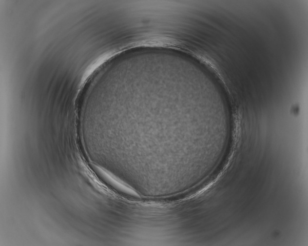 X0000115531114200911271340