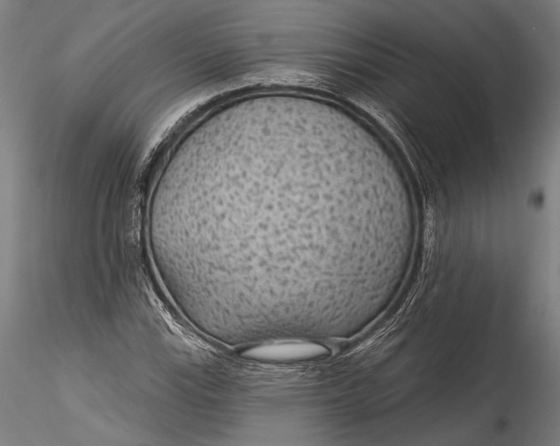 X0000115531115200911271340