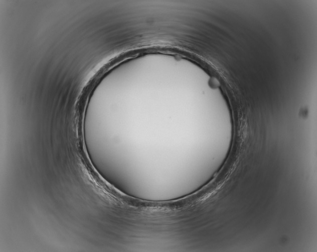 X0000115531118200911271340