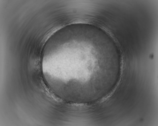 X0000115531121200911271340